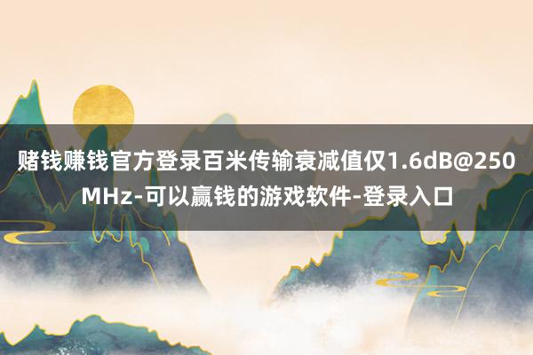 赌钱赚钱官方登录百米传输衰减值仅1.6dB@250MHz-可以赢钱的游戏软件-登录入口