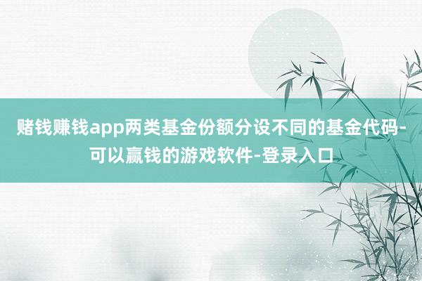 赌钱赚钱app两类基金份额分设不同的基金代码-可以赢钱的游戏软件-登录入口